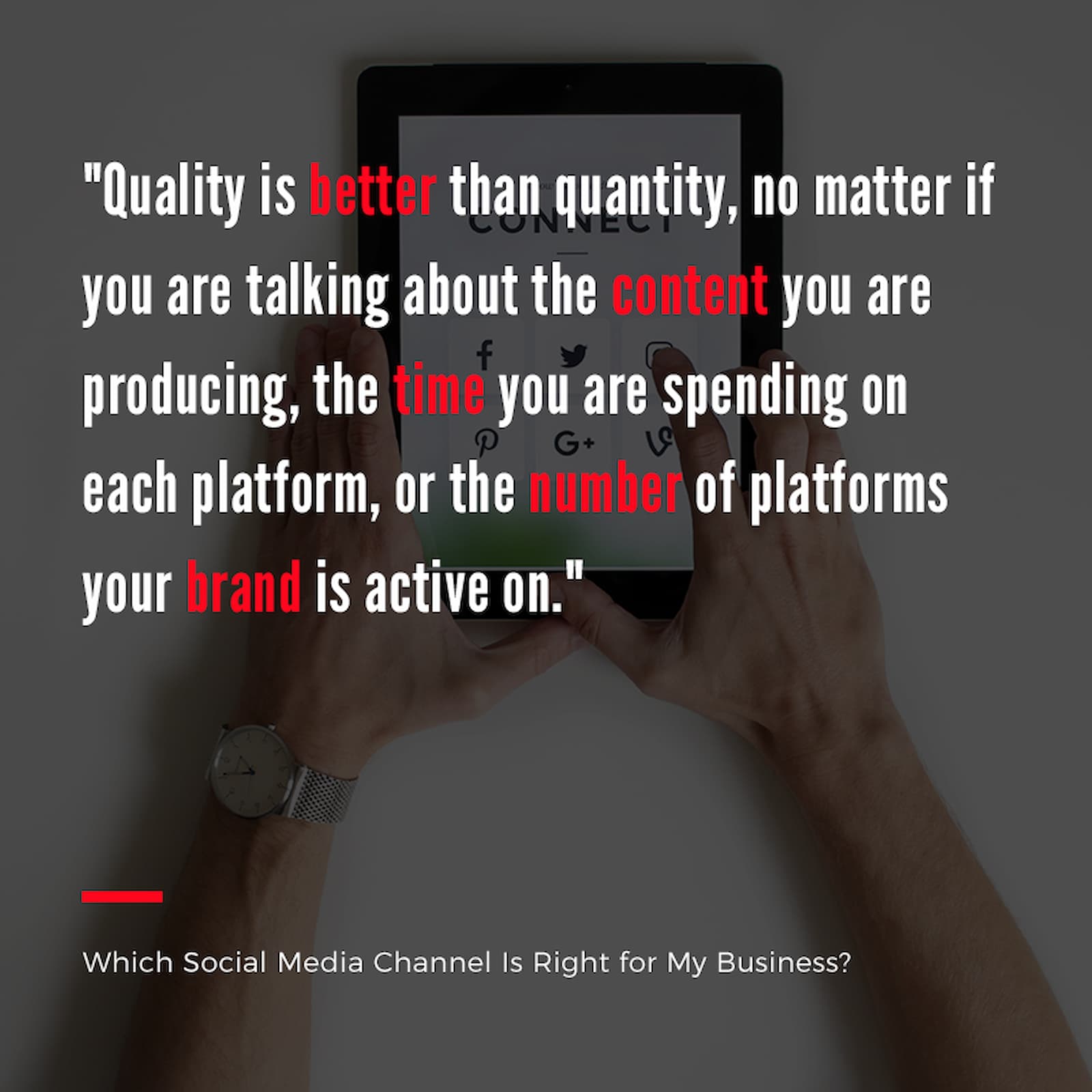 Content Image for Which Social Media Channel Is Right for My Business?