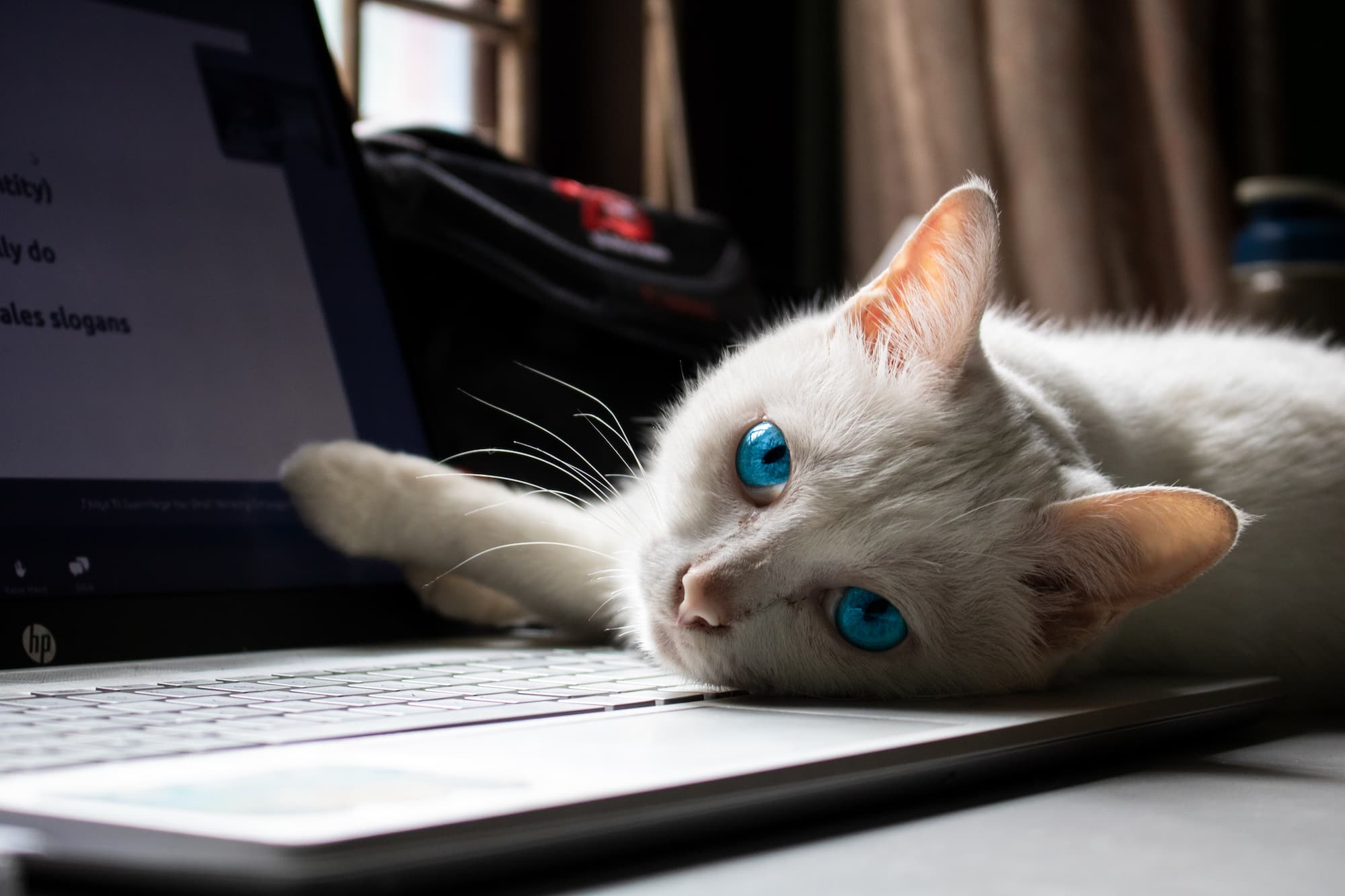Content Image for How to Create an Effective Pay-Per-Click Campaign